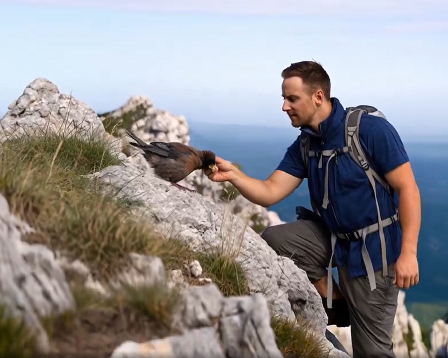 Derek Reece Climbing a Mountain with this life changing prompt