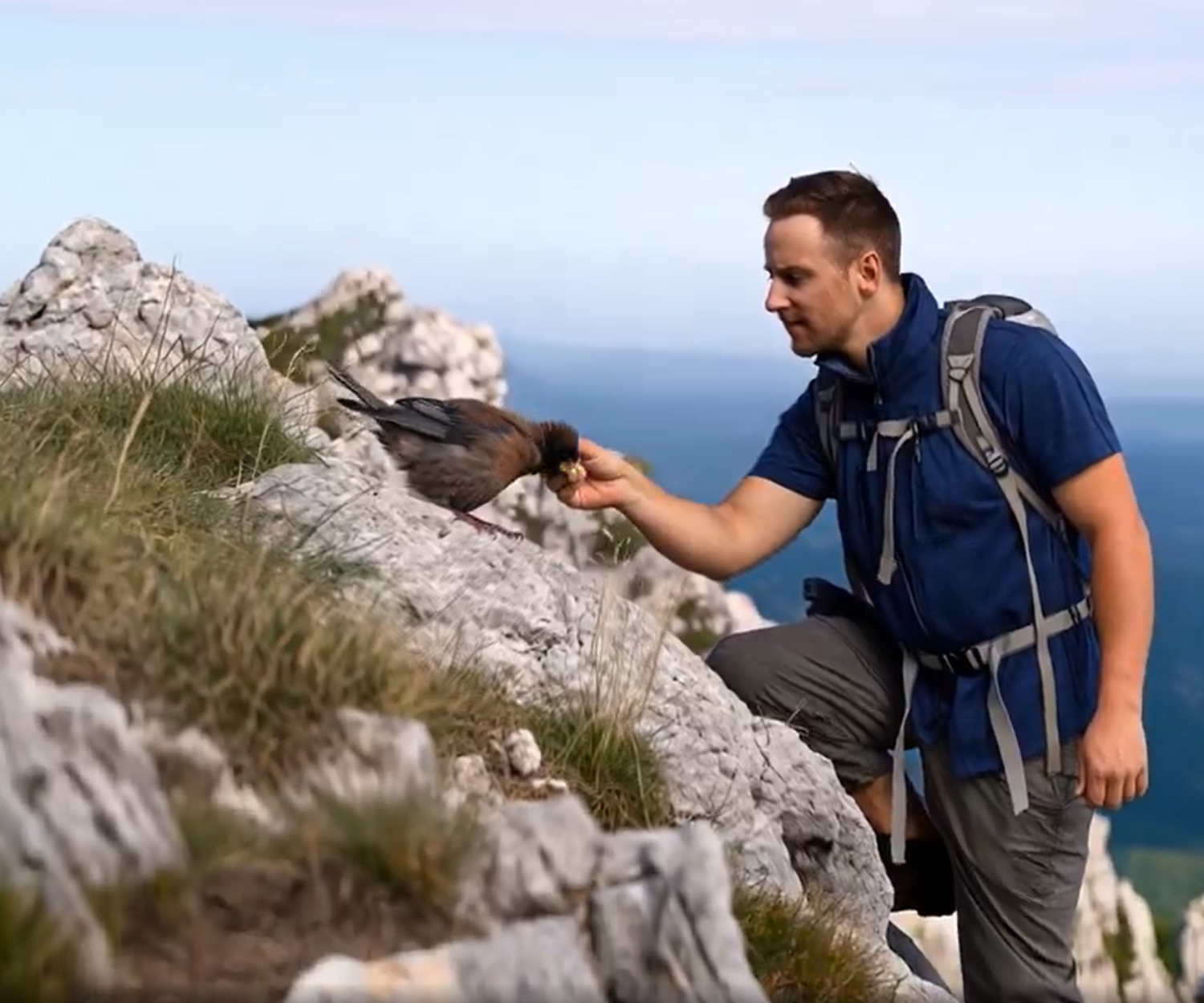Derek Reece Climbing a Mountain with this life changing prompt